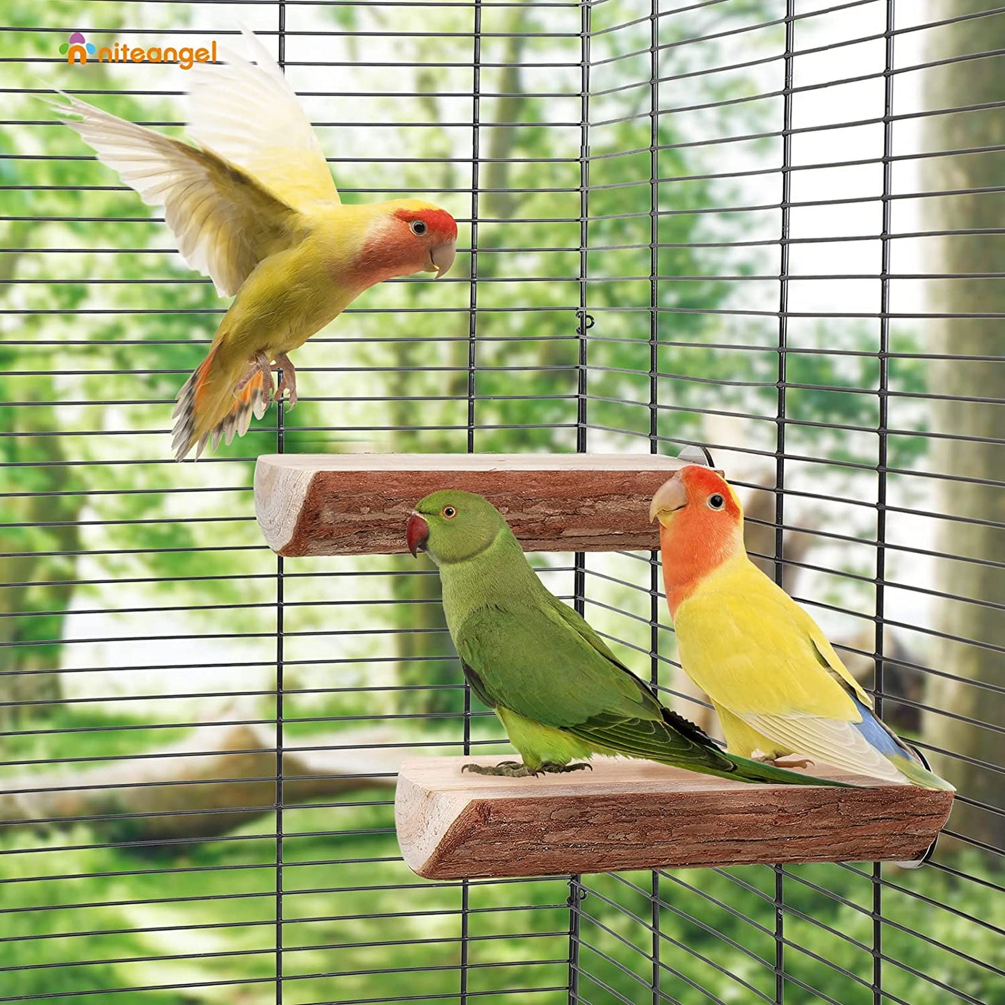 2 Parrot Cage Perch, Wooden Platform Standing Branch for Chewing Exercise, Bird Stand Perch Swing Toys Cage Accessories for Cockatiels Parakeets Conures Budgies