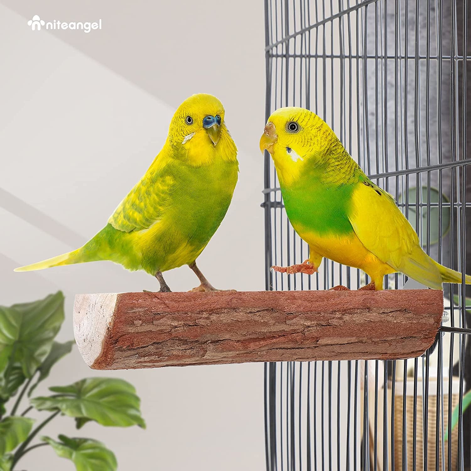 2 Parrot Cage Perch, Wooden Platform Standing Branch for Chewing Exercise, Bird Stand Perch Swing Toys Cage Accessories for Cockatiels Parakeets Conures Budgies