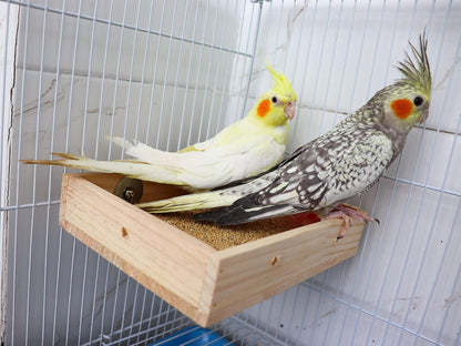 Bird Parrot Feeding Cups, Wooden Parrot Bird Perch Stand, Parakeets Food Dish, Cockatiels Standing Feeding Bowl, Cage Accessory for Small Animals Rats Conures Budgies Love Birds Pigeon Chinchilla