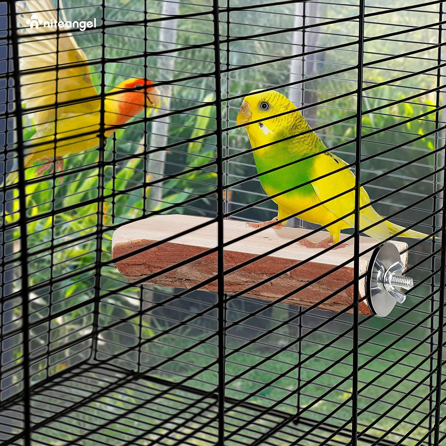 2 Parrot Cage Perch, Wooden Platform Standing Branch for Chewing Exercise, Bird Stand Perch Swing Toys Cage Accessories for Cockatiels Parakeets Conures Budgies